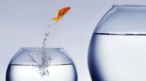 Hypergamy Part 1: It's Existence & AWALT