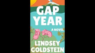 Interview with Author Lindsey Goldstein