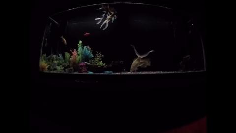 My Dad Asked For a Kidney Today.