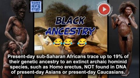 Black ancestry