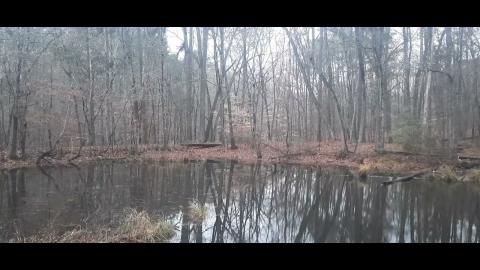 Why We Left Part 100 - SYSBM