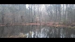 Why We Left Part 100 - SYSBM