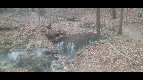 Snake In The Grass Part 12 - Mgtow