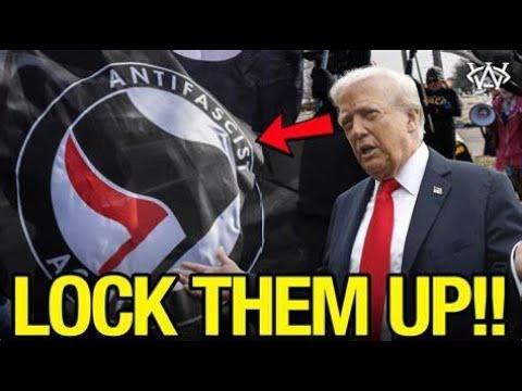 Sunday NITE Live - the ZOO