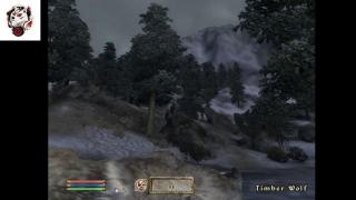 Wolf Slumbers Live Stream 1