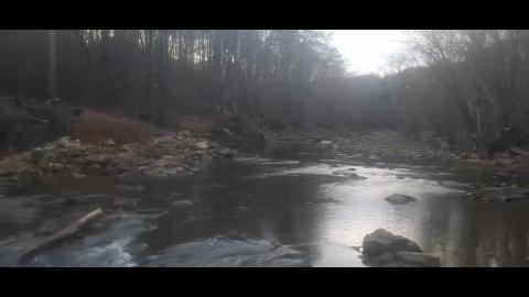 Prevention is better than the cure Part 12 - Mgtow