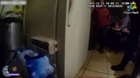 Feliz Anno Nuevo! Happy Knew Year 2026 ya Bastages. Let's Look at some 'Stuff' for Amusement