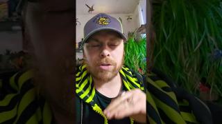 THE US GOVERNMENT IS OUT OF CONTROL ARRESTING ILLEGAL IMMIGRANTS