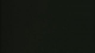 Rollinf Revenge - 1981