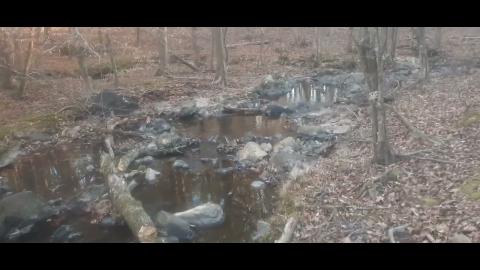 Why We Left Part 102 - SYSBM