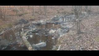 Why We Left Part 102 - SYSBM