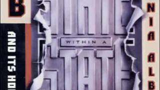 The State Within a State: The KGB and its Hold on Russia - Past, Present, and Future (Yevgenia Albats)