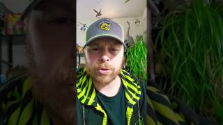 ARRESTING ILLEGAL IMMIGRANTS IS WRONG