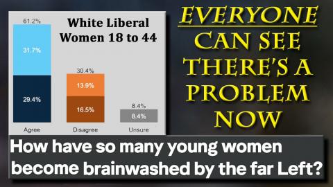 AWFULs (Affluent, White, Female, Urban, Liberals) Will Stop at Nothing To Destroy Us