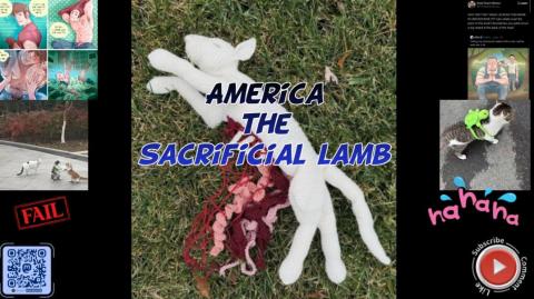 America the sacrificial lamb