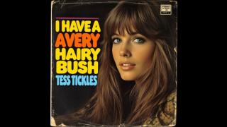 I Have a Very Hairy Bush - Tess Tickles {70s easy listening} AI