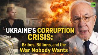 Ex-PM Nikolay Azarov: 'You could make Switzerland out of Ukraine with that money'