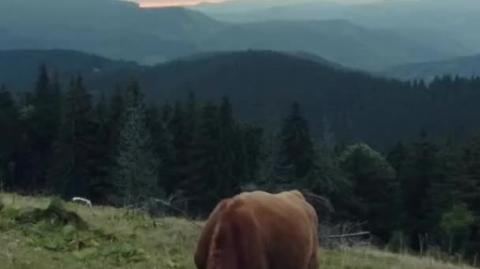 Life on an Eastern European village farm