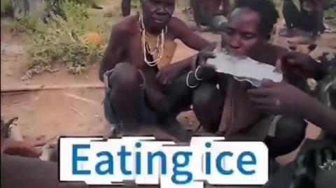 Meet Your Replacements Whitey