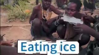 Meet Your Replacements Whitey