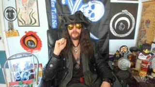 Do Dolphins and Orcas Work Together? So It Seems