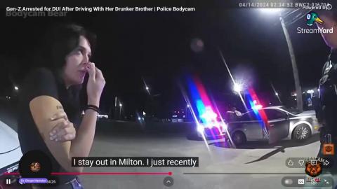 Hamster Got some New Toys: Let's Do a Test Stream