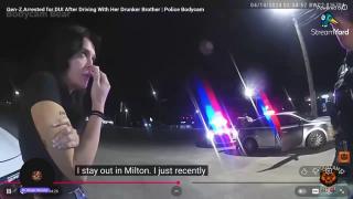 Hamster Got some New Toys: Let's Do a Test Stream