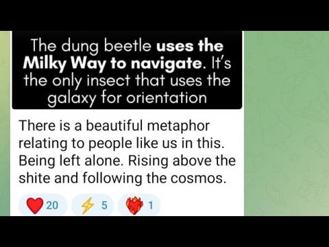 Nowt Queer as Reality