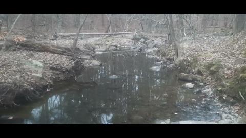 They Don't Know Us Part 15 - SYSBM