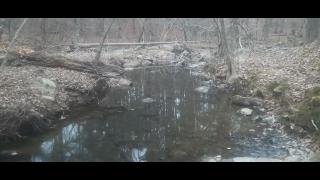 They Don't Know Us Part 15 - SYSBM