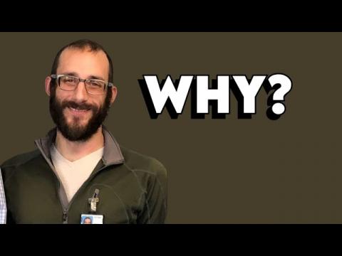 Why Do They FAFO and Die?