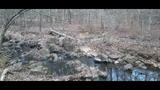 Prevention Is Better Than The Cure Part 11 - Mgtow