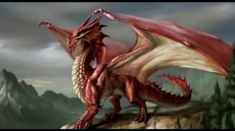 Bondi Beach - Bystanders Didn't Know They Were in the Movie