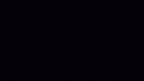 Happy new year mgtow 2026