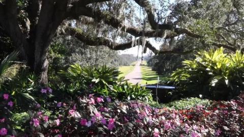 How Can a Lake Vanish in 3 Hours -- Phenomenon Explained (The Lake Peigneur Salt Mine Disaster)