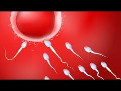 The government paying $5,000 to populate US citizens.￼KDR podcast