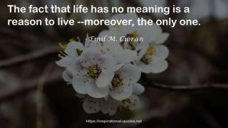 Emil M. Cioran Quotes  #Emil M. Cioran #quotes