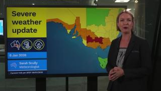 You can tell it's hot - She's glowing like a pig.