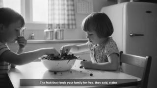 The Mulberry Tree - A Most Profitable Plant