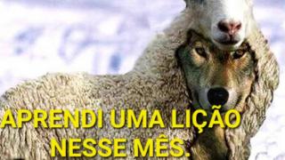 VOU SER LOBO EM PELE DE CORDEIRO.