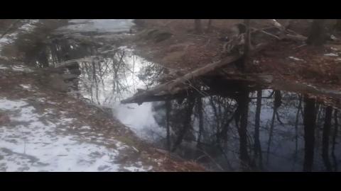 Why We Left Part 103 - SYSBM