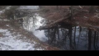 Why We Left Part 103 - SYSBM