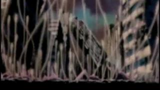 (SHIN THANKS BUDDY FOR YOUR HELP ENJOY) Fist of the North Star - Disturbed Ten Thousand Fists AMV (Remastered)