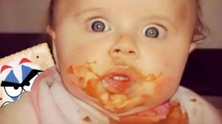 PizzaGate was Real ReeEStream 02-01-26