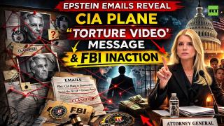 'I loved the torture video' — Why hide identity in Epstein files?