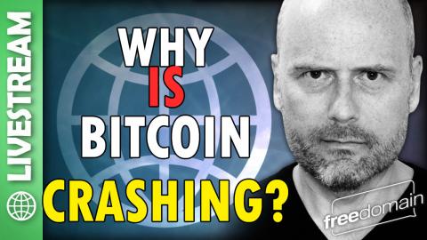 Why is Bitcoin Crashing? Feb 2026