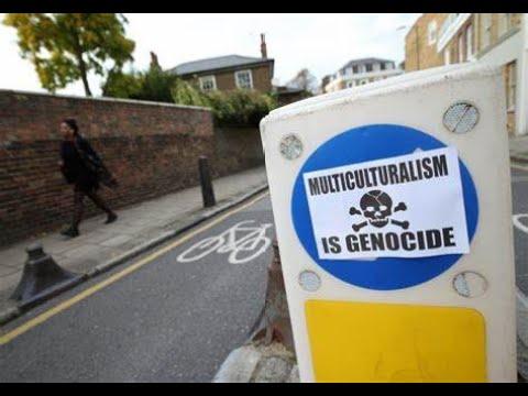 Sunday Nite Live THE ZOO