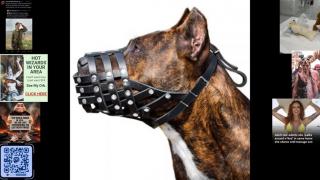 Reasons why women shouldn't vote