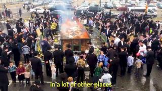 I Exposed New Jersey's Jewish Invasion