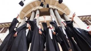 Philosophical School: Overview & Introductions